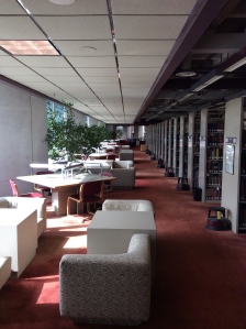 Thomas Library: a peaceful place to toil.